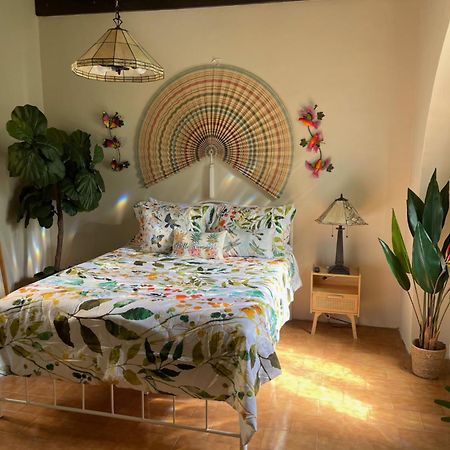 The Garden Apartment, The Willow Apartment, & The Tropical Apartment At Casa Of Essence In Old סן חואן מראה חיצוני תמונה