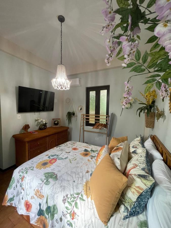 The Garden Apartment, The Willow Apartment, & The Tropical Apartment At Casa Of Essence In Old סן חואן מראה חיצוני תמונה
