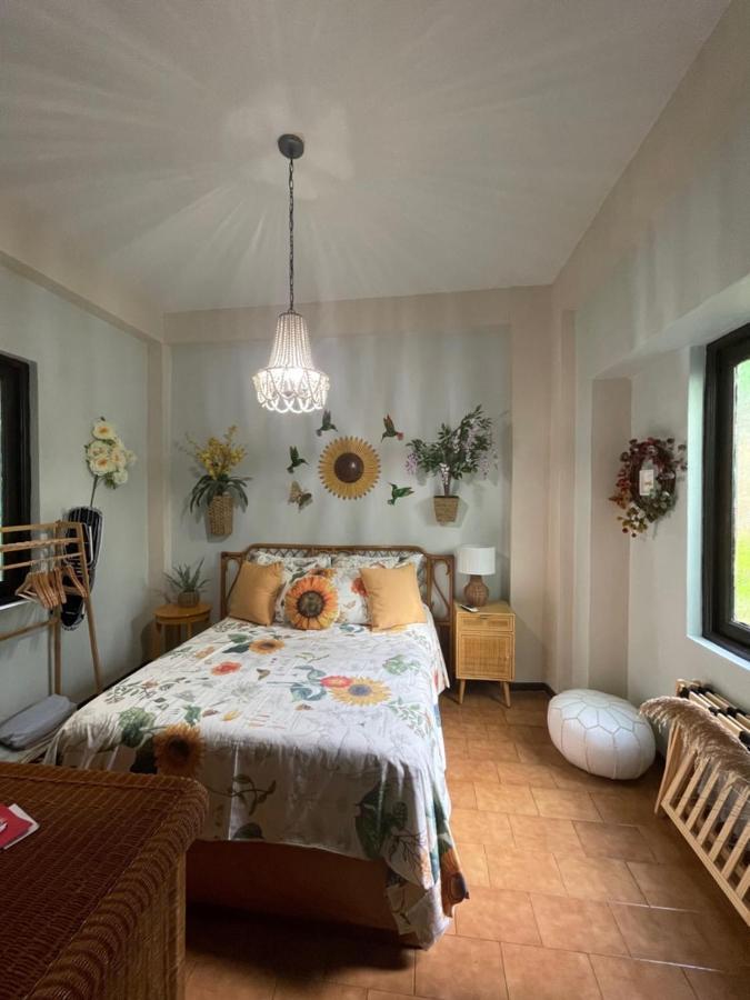 The Garden Apartment, The Willow Apartment, & The Tropical Apartment At Casa Of Essence In Old סן חואן מראה חיצוני תמונה
