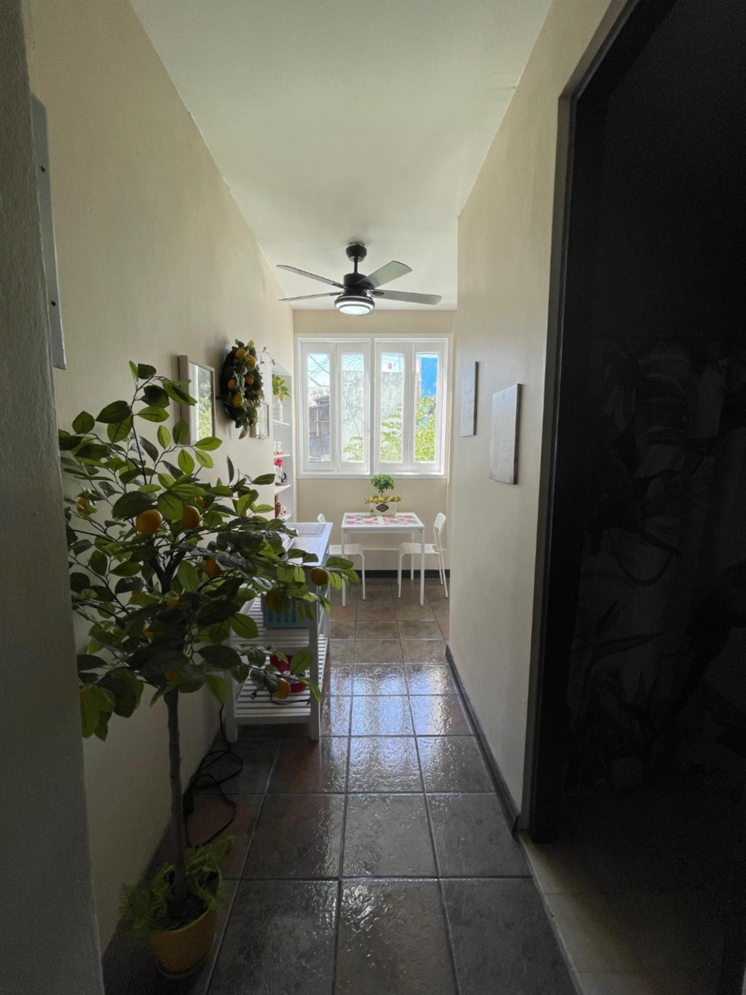 The Garden Apartment, The Willow Apartment, & The Tropical Apartment At Casa Of Essence In Old סן חואן מראה חיצוני תמונה