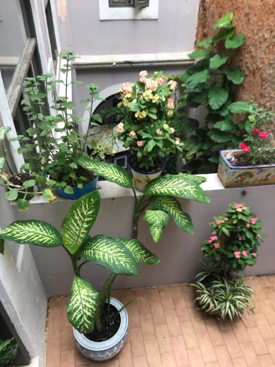 The Garden Apartment, The Willow Apartment, & The Tropical Apartment At Casa Of Essence In Old סן חואן מראה חיצוני תמונה